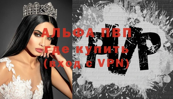стаф Липки
