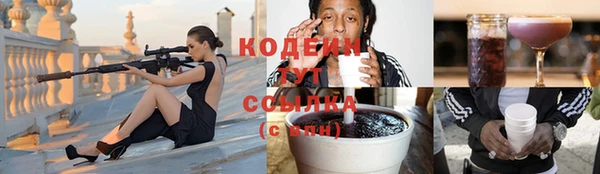 стаф Липки