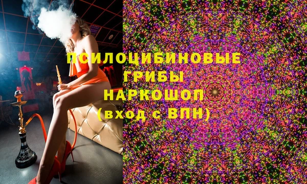 стаф Липки
