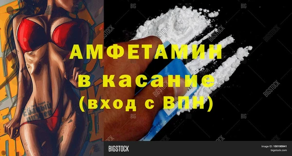 прущие грибы Лихославль
