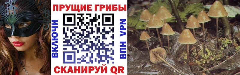 хочу   Мелеуз  Псилоцибиновые грибы Psilocybine cubensis 