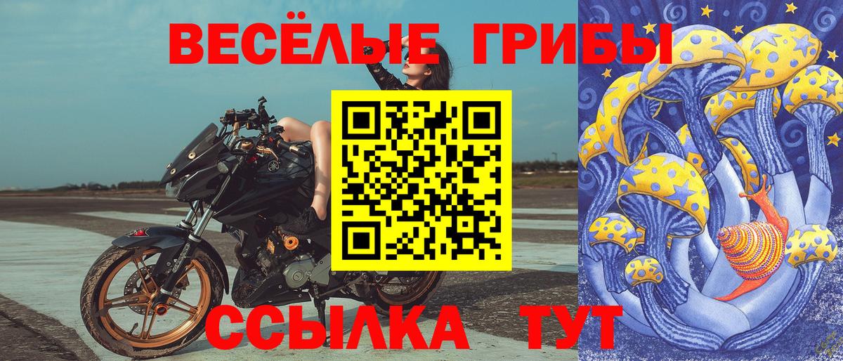 Псилоцибиновые грибы мухоморы  Вход с VPN  Мелеуз 